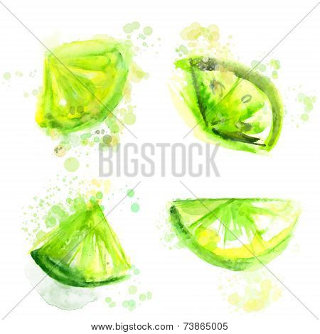 Four slices of green limes. Watercolor illustration, vector image.