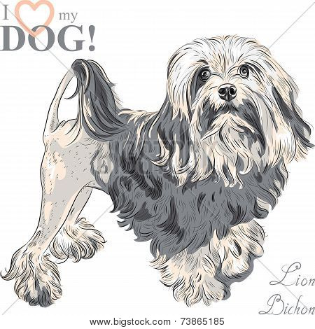 Vector Dog Breed Lowchen