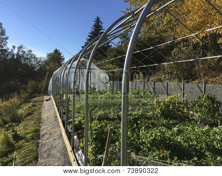 High Tunnel With Plastic On Endcap