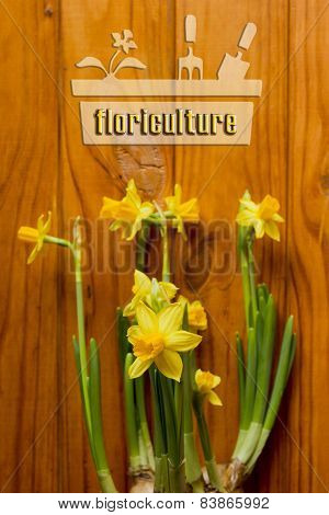 Floriculture