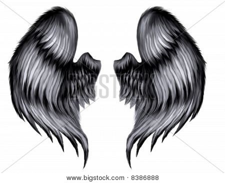 Dark Angel Wings