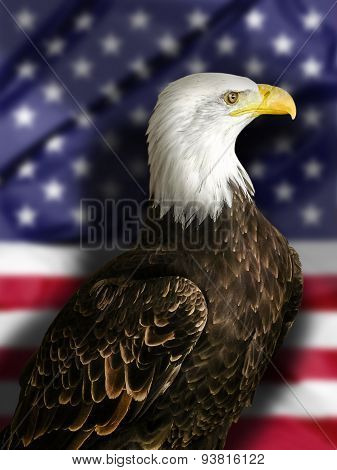Bald Eagle with Flag