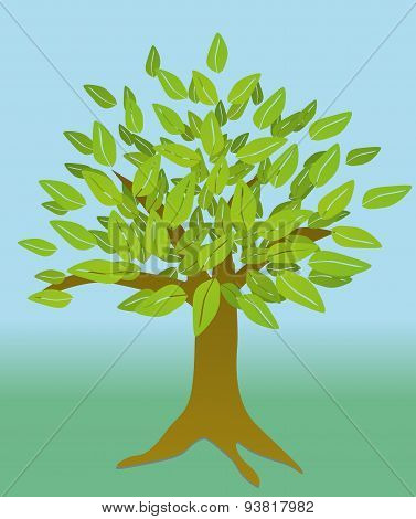 Tree