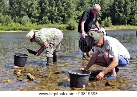 Gold Prospectors Of All Ages On The Banks Of The Gardon River