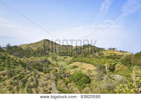 Landscape Of Songaksan Mountain