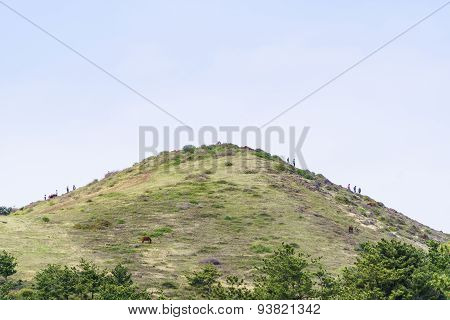 Landscape Of Songaksan Mountain