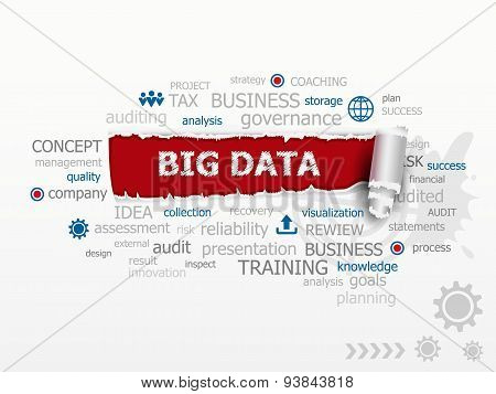 A Word Cloud Of Big Data.  Design Illustration Concepts For Business