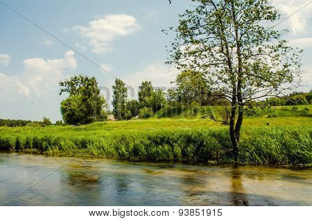 River And The Field On A Sunny Summer Day