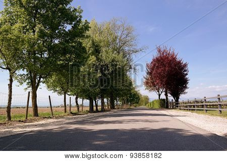 Country road