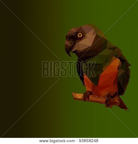 Parrot