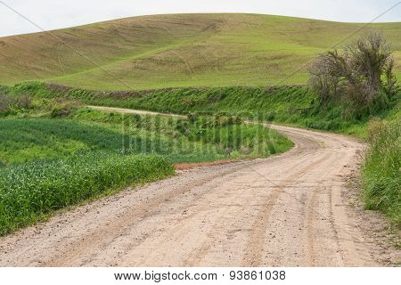 Dirt Road