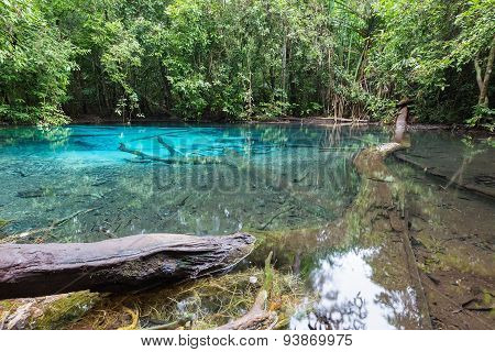 Emerald blue natural pool lagoon