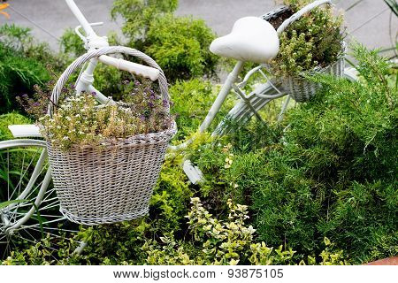 Old Bicycle Ideas For Gardening