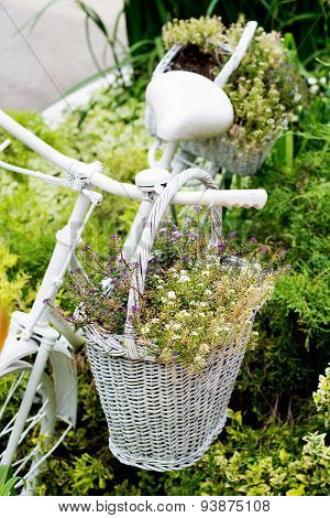 Old Bicycle Ideas For Gardening
