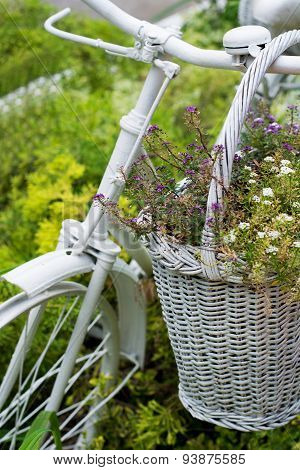 White Basket With Flowers Hanging On Old Bicycle In Garden
