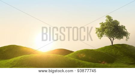 green field