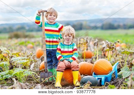 Two Little Kids Boys Sitting On Big Pumpkins On Patch