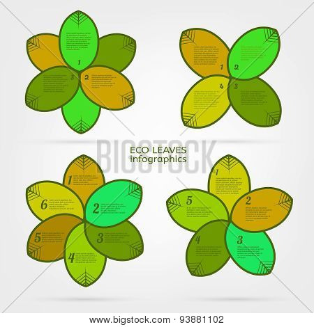 Leaves infographic