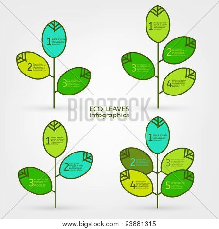 Leaves infographic