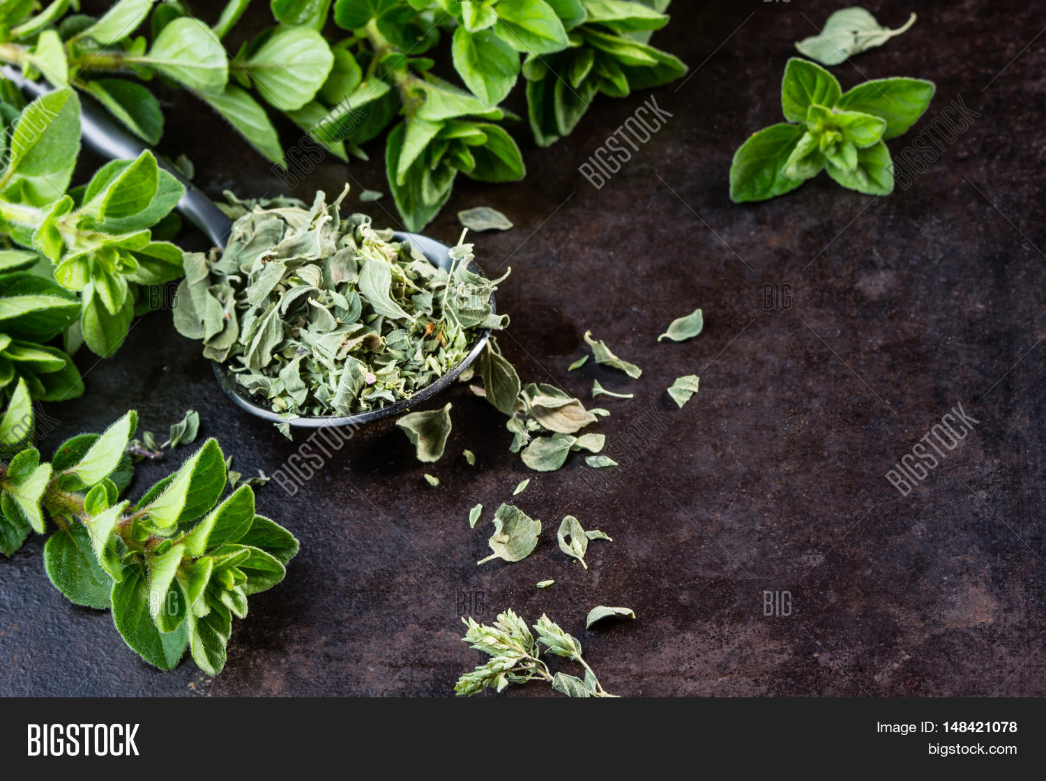 Fresh Dried Oregano Image & Photo (Free Trial) Bigstock