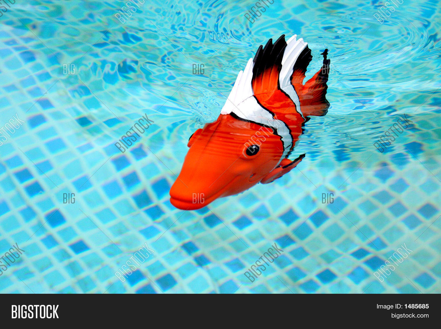 Fake Fish Image & Photo (Free Trial) Bigstock