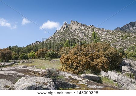 Mountain landscape at Sierra de la Cabrera, Madrid, Spain