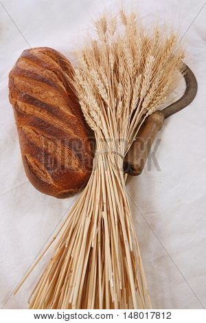 bunch of mown wheat ears with vintage handmade reaper hook sickle and rye dark white french fresh bread loaf on light linen tablecloth