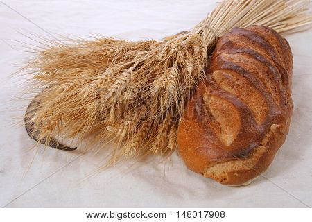 bunch of mown wheat ears with vintage handmade reaper hook sickle and rye dark white french fresh bread loaf on light linen tablecloth