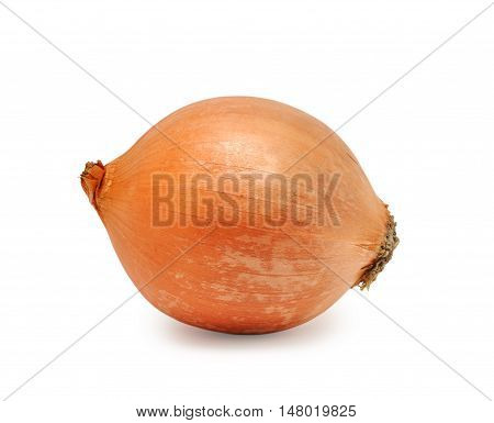 Ripe onion isolated on the white background