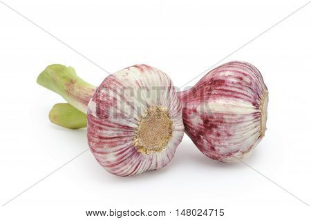 Fresh garlic isolated on the white background