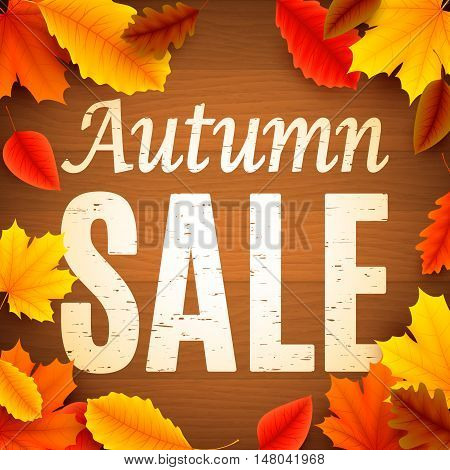 Autumn sale anouncement painted on old wood background decorated with color leaves
