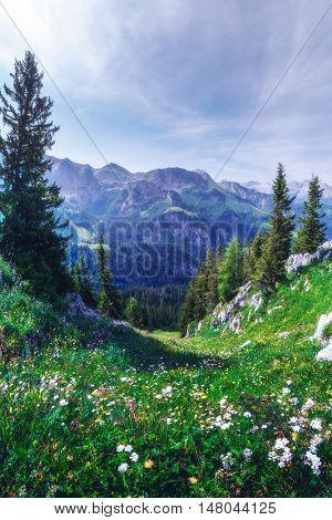 Beautiful view from top of cableway above the Konigsee lake on Schneibstein mountain ridge. Border of German and Austrian Alps, Europe.