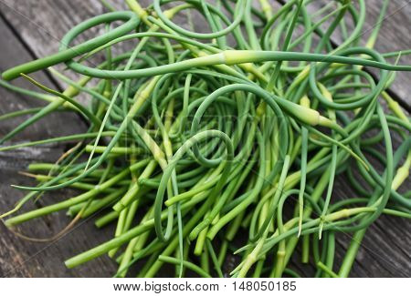 Garlic fresh green shoots on a wooden table background