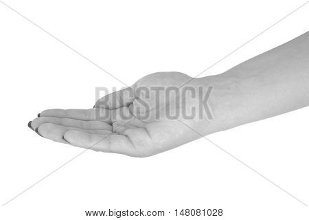 Palm up showing anything middle-aged woman's skin black manicure. Isolated on white background.