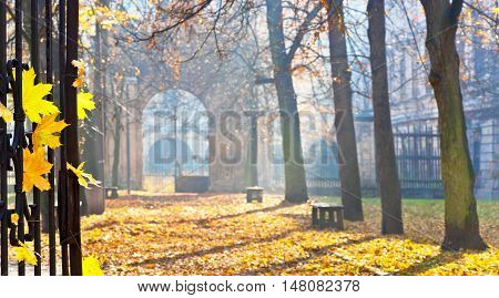 autumn colonade with a gateway and yellow blades