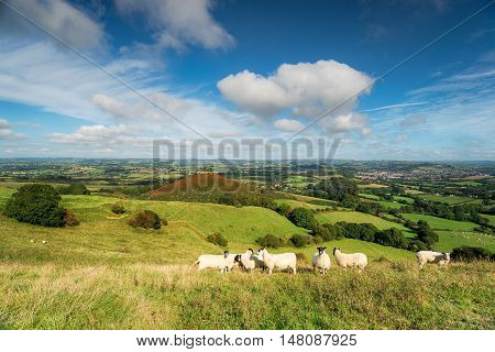 Quarry Hill