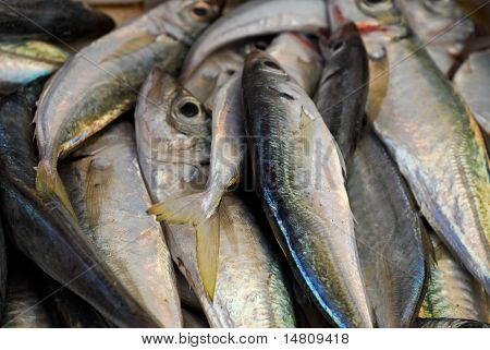 poisson