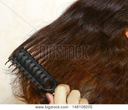 brown thick hair being combed close up photo