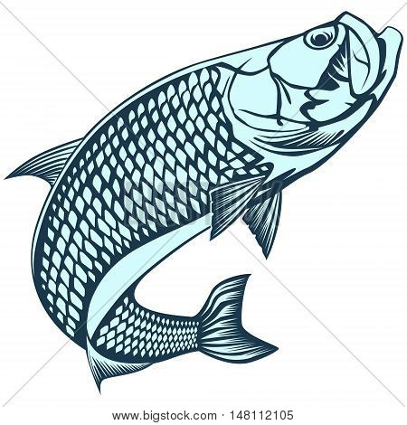 Tarpon Ocean Blue