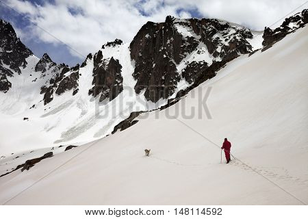 Hiker With Dog In Snow Mountain At Spring Morning