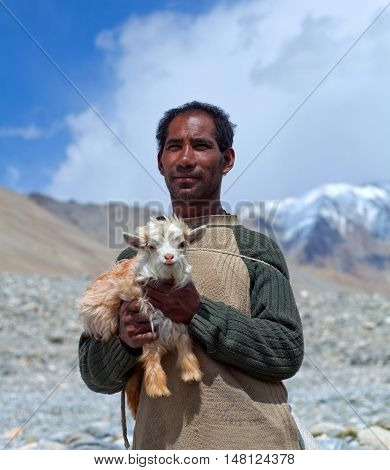 Tibetan Nomad With Goatling In Ladakh, India