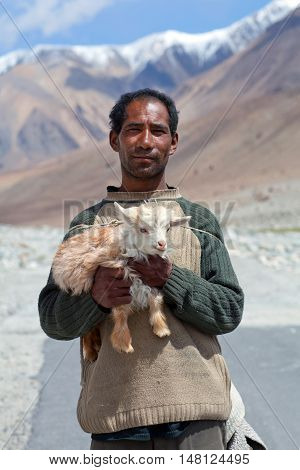 Tibetan Nomad With Goatling In Ladakh, India