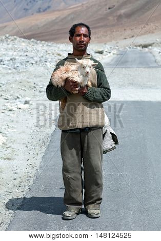 Tibetan Nomad With Goatling In Ladakh, India