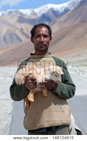Tibetan Nomad With Goatling In Ladakh, India