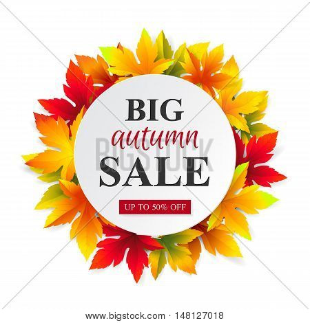 Vector template for design banner big seasonal autumn sales and discounts. White label for promotion with colored maple leaves. Isolated from a background.