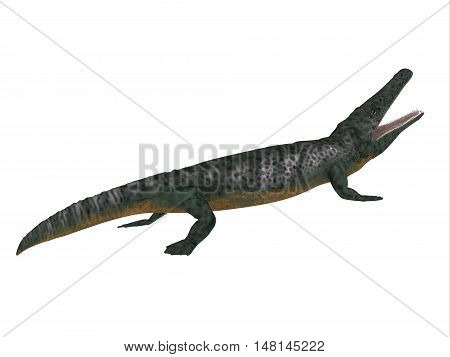 Archegosaurus Side Profile 3D Illustration - Archegosaurus was an amphibian tetrapod that lived in Europe during the Permian Period.