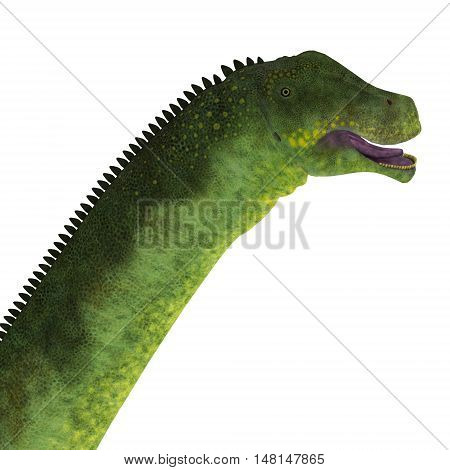 Puertasaurus Dinosaur Head 3D Illustration - Puertasaurus was a herbivorous sauropod dinosaur that lived in Patagonia in the Cretaceous Period.