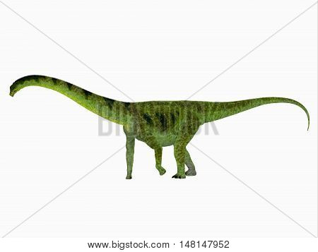 Puertasaurus Dinosaur Side View 3D Illustration - Puertasaurus was a herbivorous sauropod dinosaur that lived in Patagonia in the Cretaceous Period.