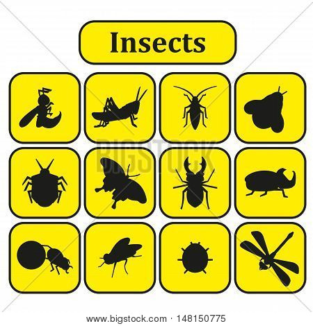 Set of 12 Black and white insects on a yellow background. Logos emblems badges for the company studies dealing with insects or their destruction. Vector Illustration
