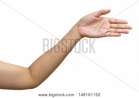 Female open hand isolated on white background clipping path included.